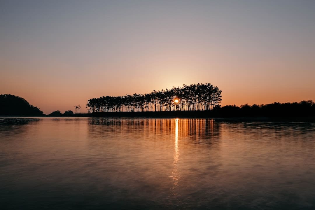 电影《有朵云像你》今天上映 四大亮点相邀浪漫七夕观影助力约会表白